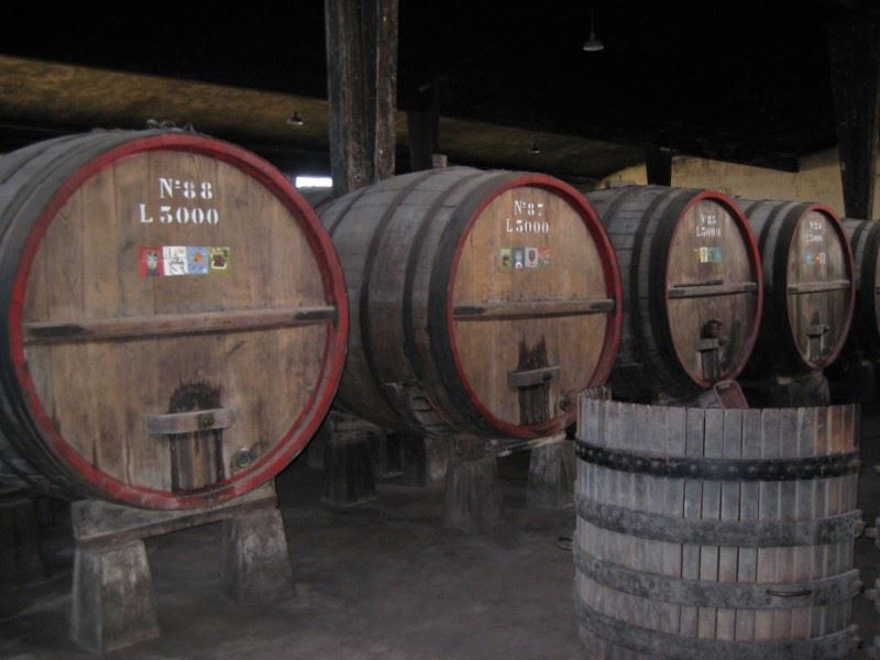 Bodega Bernardi, Tradición Y Compromiso Familiar De Calidad En Colonia, Uruguay