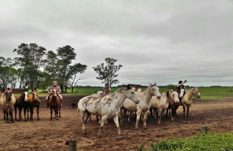 Estancia Santa Susana Na Argentina Convida Você A Compartilhar Tradições Maravilhosas