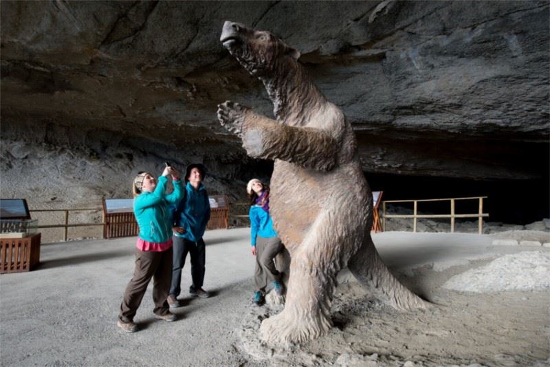 Prähistorische Zeugnisse Der Milodón-höhle In Chile