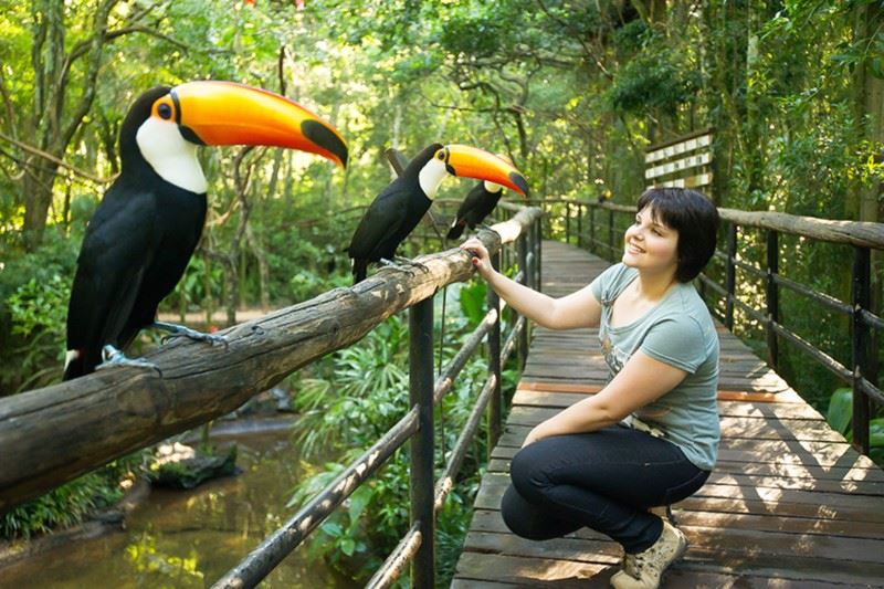 Parque Das Aves (Birds Park) At Exuberant Iguazu Forest