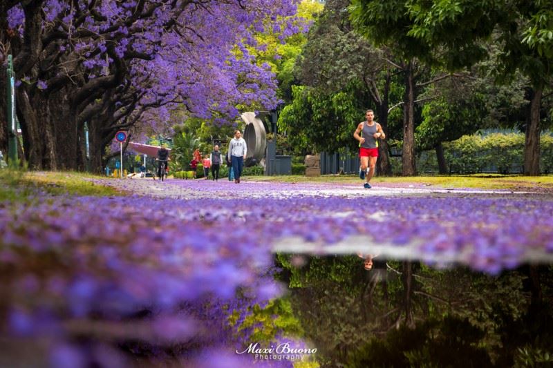 Onde Você Pode Praticar Esportes Na Cidade?