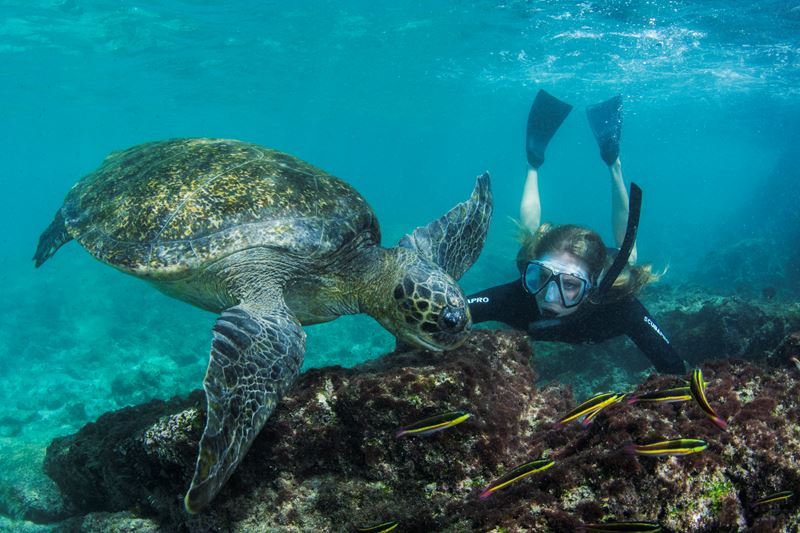 Ilhas Galápagos Do Norte