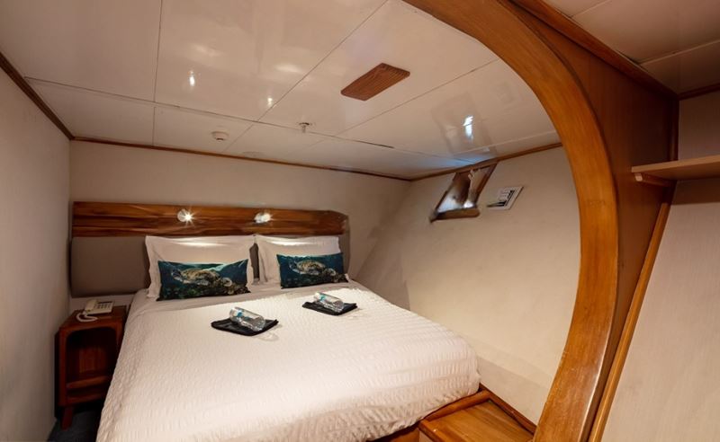 Standard Cabin