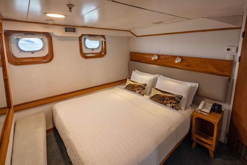 Standard Plus Cabin