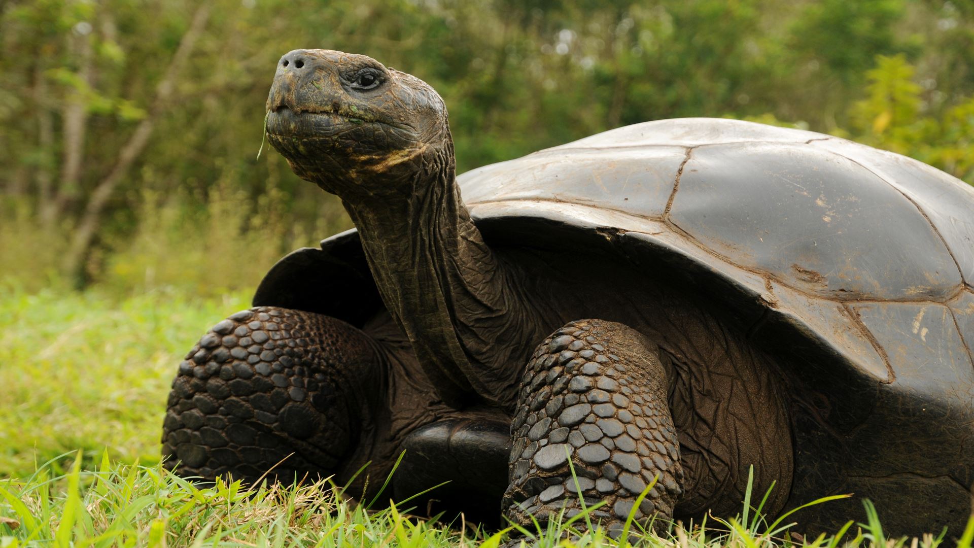 Ecuador