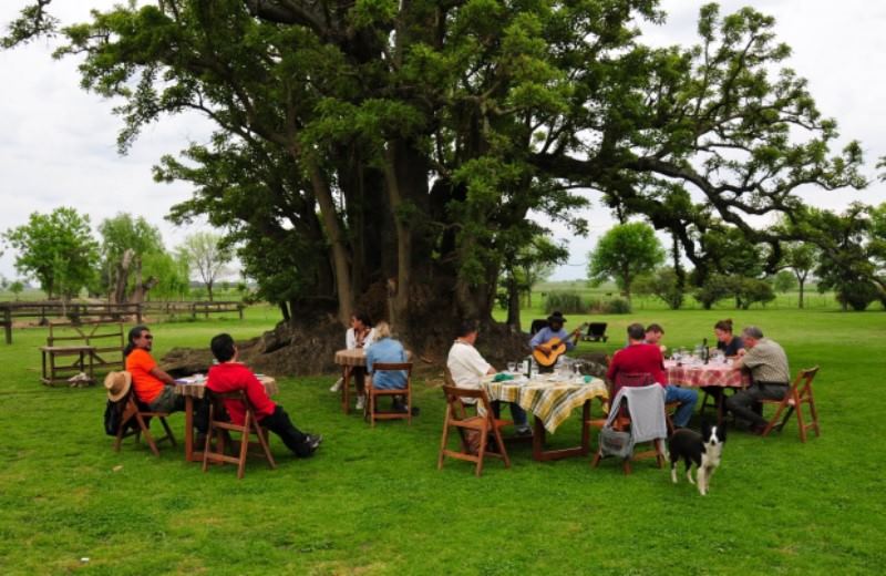 Dia De Campo En Estancia El Ombu De Areco Opiniones Y Cómo Comprar Tu