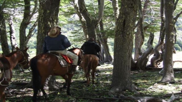 Ride Ride Through The Mapuche Community