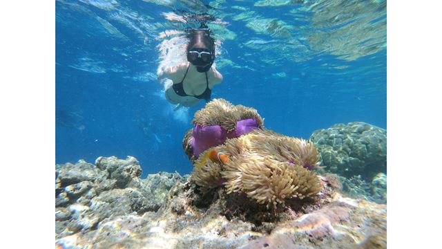 Amanecer Isleño, Snorkel & Yoga