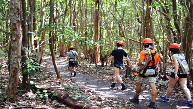 Atv Tour In Barra Do Cunhaú With Tree Climbing