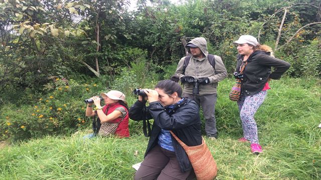 Avistaje De Aves En Cerro Monserrate De Bogotá