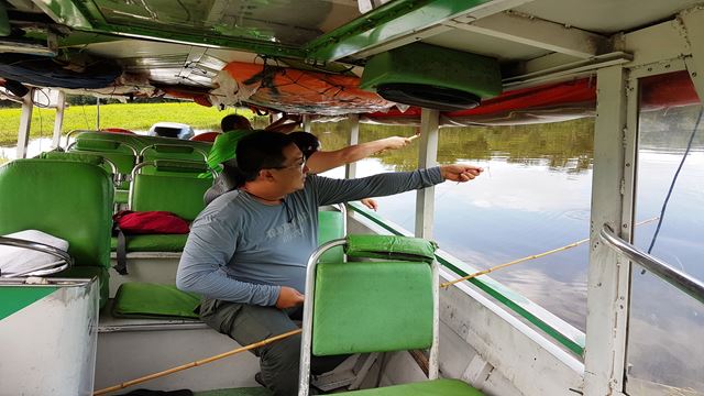 Focagem De Caimanes E Pesca De Piranhas