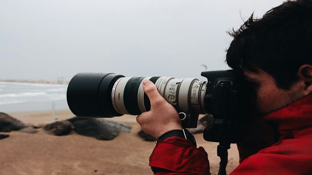 Observation Des Oiseaux