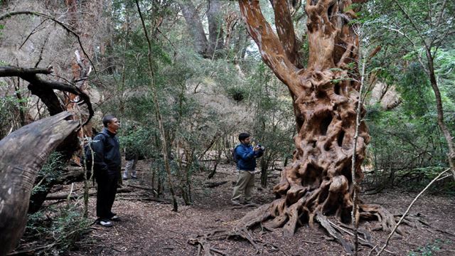 Forfait Touristique De Luxe Bariloche