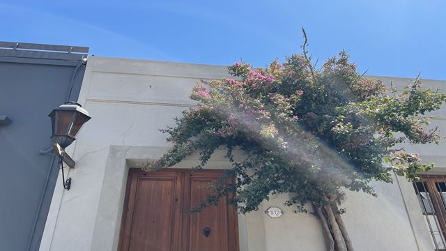 Bairro Histórico A Pé