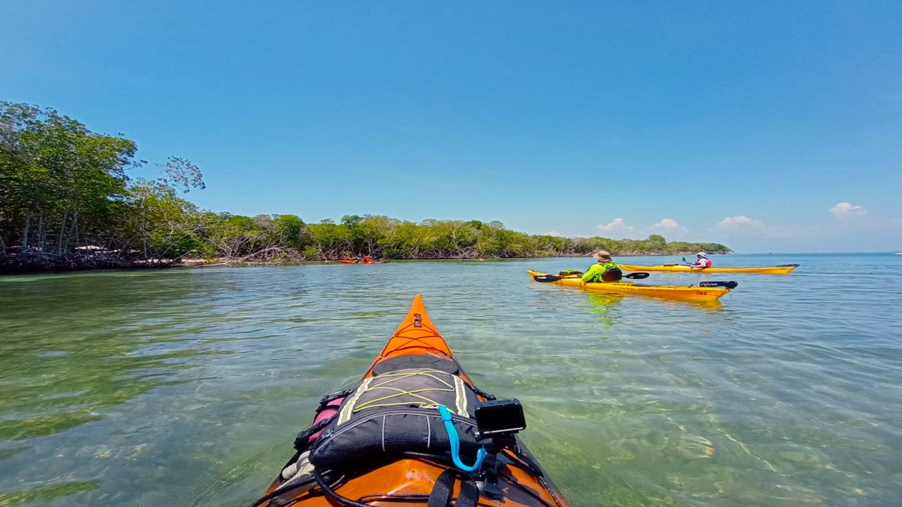 Barú En Kayak: Una Inmersión En La Belleza Natural