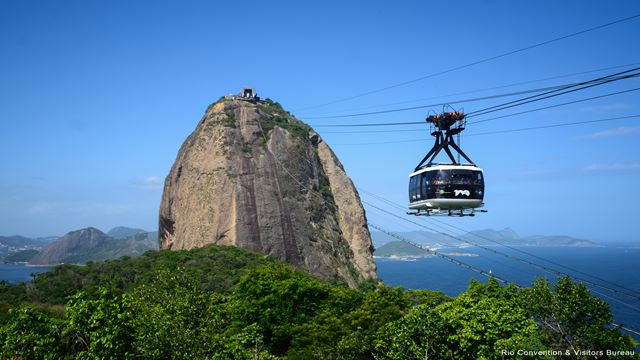 Brazil Nature