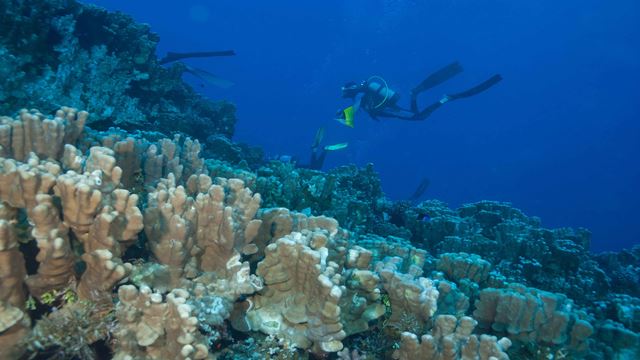 Buceo De Bautismo En Isla De Pascua