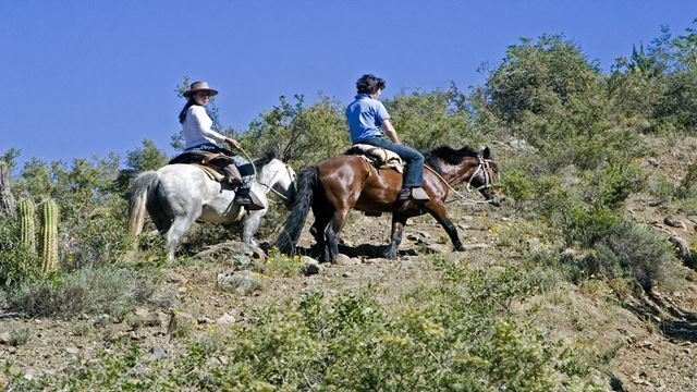 Reiten Zur Hängenden Schneeverwehung Des El-Morado-Gletschers