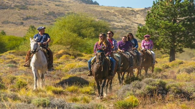 Medio Dia En El Campo Con Cabalgata Y Asado