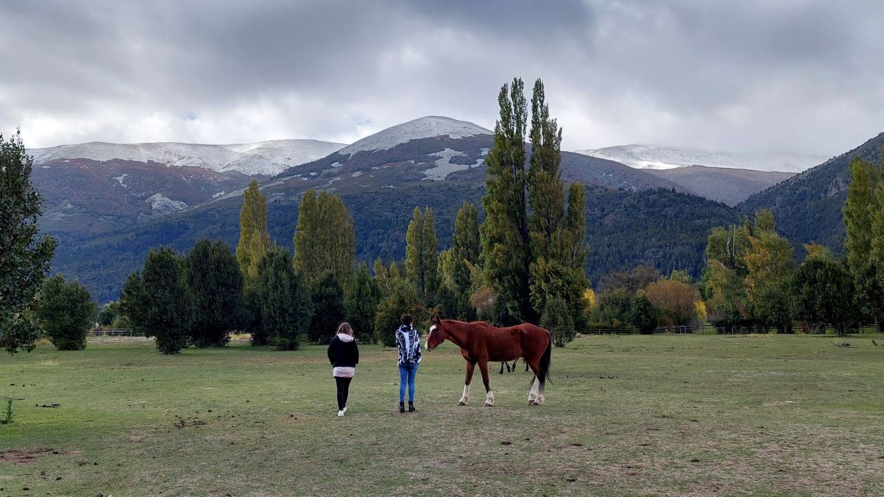 Horseback Riding At Peuma Hue Ranch