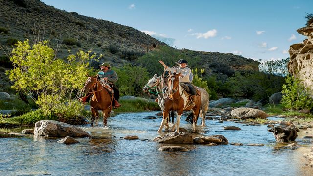 Cabalgata Experience