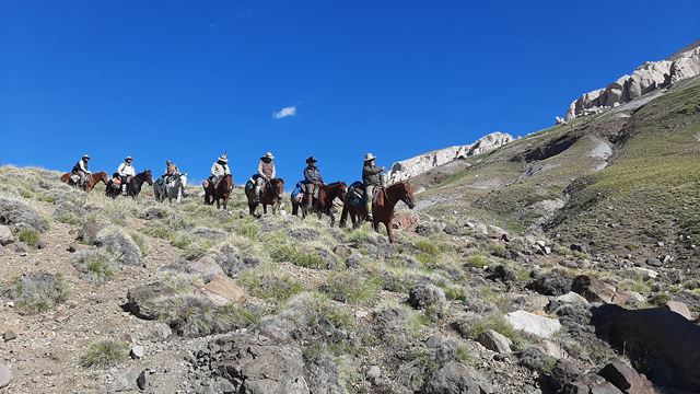 Horse Crossing The Andes