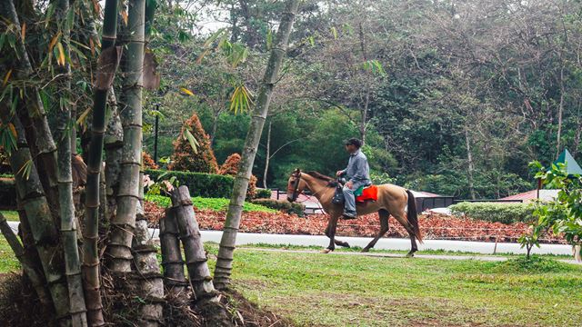 Cabalgata Recanto Do Peao