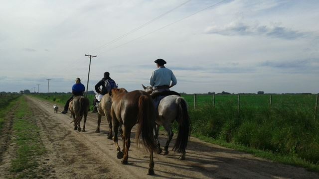 Balade À Cheval Et Journée Aux Champs