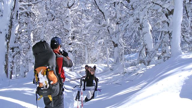 Schneeschuhwanderung Im Valle Escondido