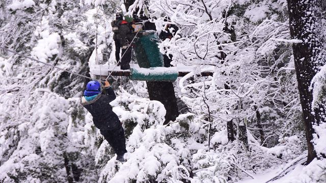 Canopy In Bariloche