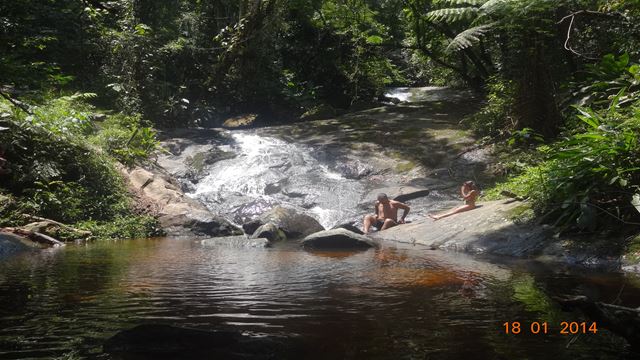 Trail In The Serra Da Cantareira