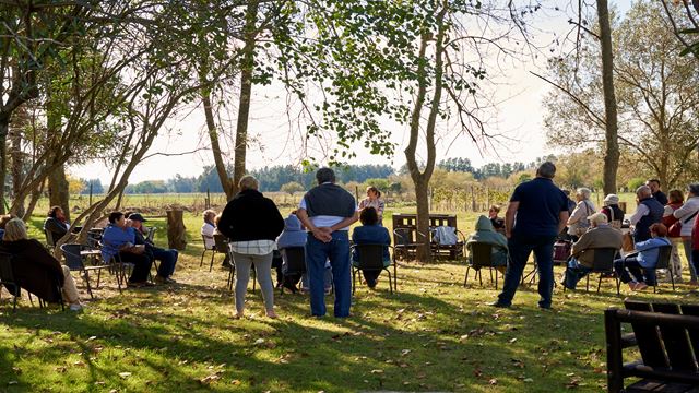 Wine Tasting And Lunch At Bodega Castillo Viejo