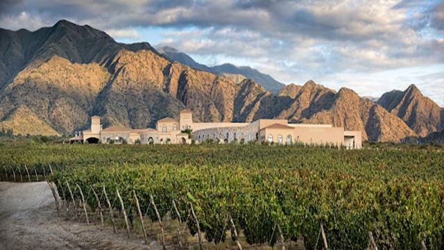 Weinverkostung Und Picknick In Der Bodega Piattelli