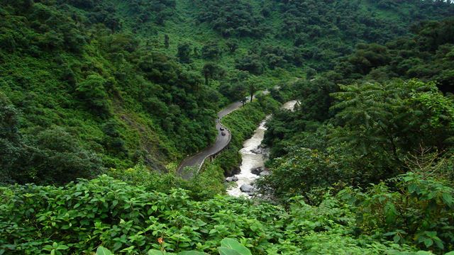 Circuito De Menino Com Yungas