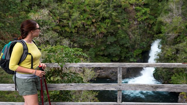 Ganztägiges Abenteuer Rund Um Den Lago Ranco Ab Valdivia