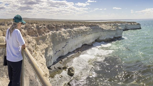 Puerto Madryn And Punta Loma City Tour