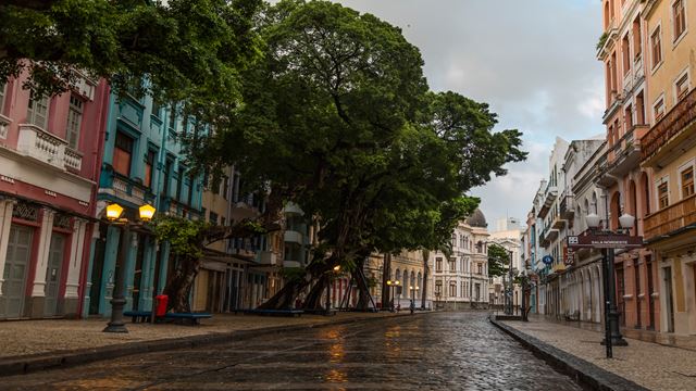 Tour De La Ville De Olinda Et Recife Antigo