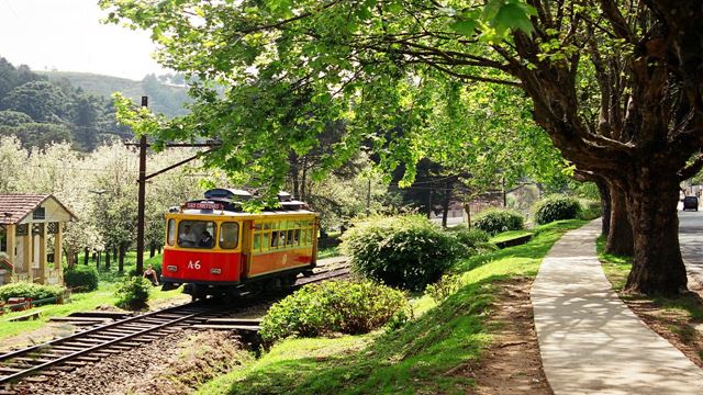 Visite De La Ville De Campos Do Jordao, Suisse Brésilienne