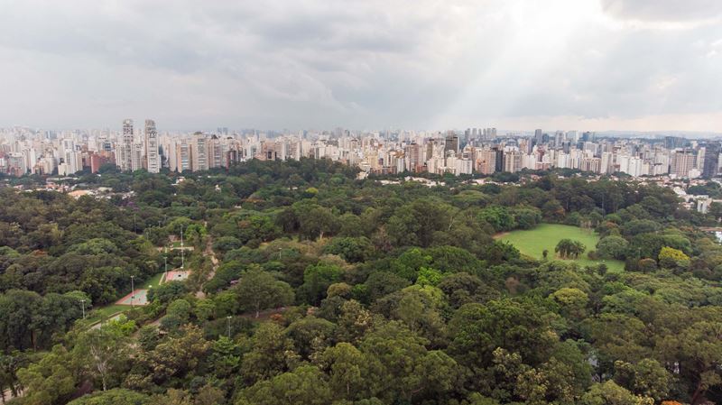Private São Paulo City Tour