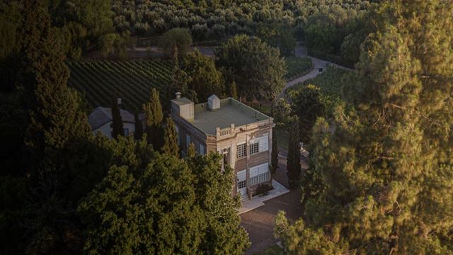 Dégustation Et Déjeuner À La Cave Luigi Bosca