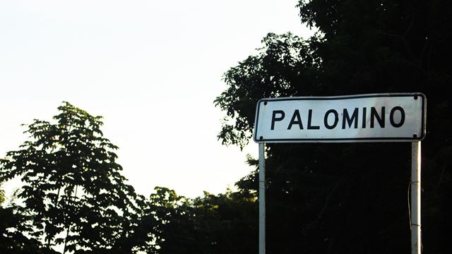 Discover Palomino Full Day Tour