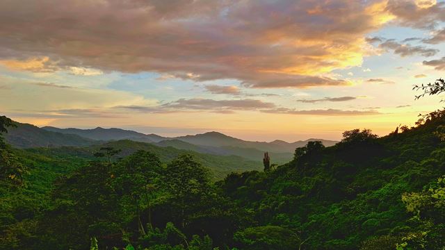 Descobrindo A Excursão De Dia Inteiro Em Minca