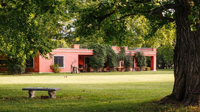 Dia De Campo Na Estância La Bandada