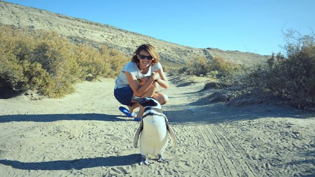 Field Day And Visit To Penguin Colony