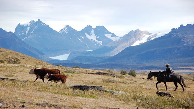 Tag Auf Dem Land - Estancia Nibepo Aike Mit Reiten