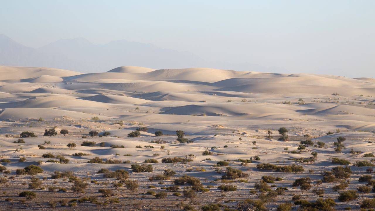 Visite Des Dunes De Tatón Et Du Canyon Indio