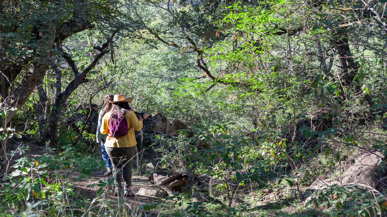 Private Tour To Tunita Ancasti