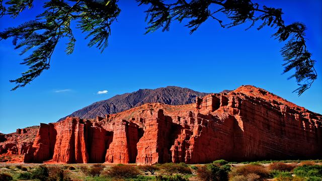 Excursion Privada A Cafayate