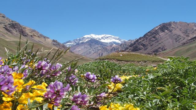 Excursion Privada Alta Montaña