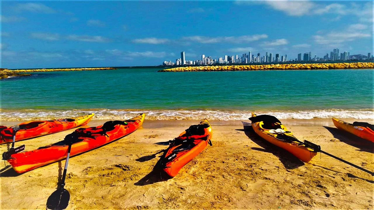 Excursión Punta Arena En Kayak